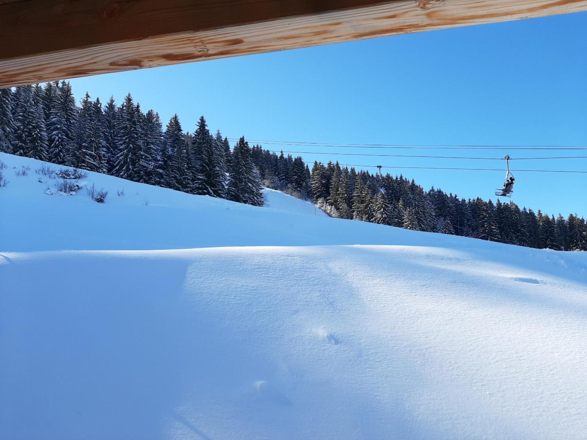Les 7 Laux Immobilier Chalet F Prapoutel Exteriör bild